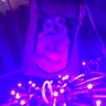 HOTARU's profile picture