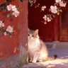 Фото профиля MinhHao