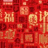 Фото профиля 我本有心向明月