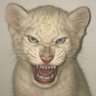 mulher macho do futuro's profile picture