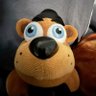 Luan profil fotoğrafı