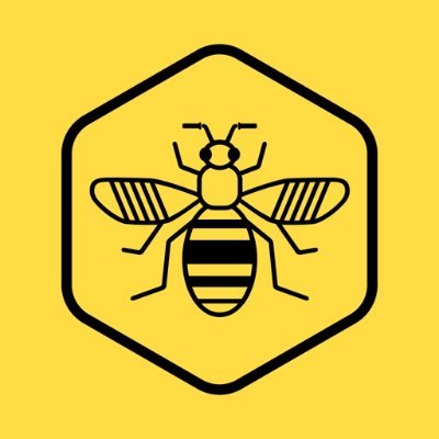 BeeNetwork's profile picture
