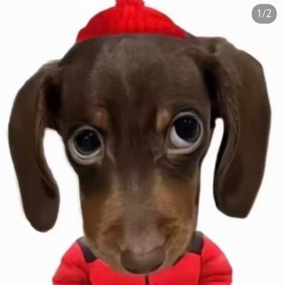 9527's profile picture
