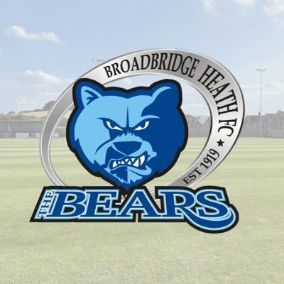 thebearsbbhfc's profile picture