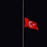 SİVRİ DİLLİ's profile picture