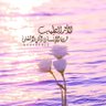 ابراهيم أبو وهدان بحير 的头像