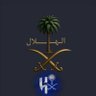 alhilal pro 💙🤍 的头像