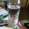 Profilbild von 鈴木雄介(馬場雲佐)