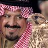 Profilbild von الدندون 👑