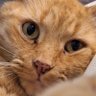 Profilbild von Francene H.