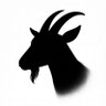 Profilbild von Robinson