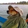 sixten's profile picture