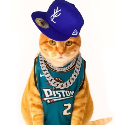 n ⭒'s profile picture