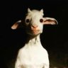 Mrgzzzz's profile picture