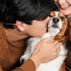 shobae 大谷翔平 ¹⁷ Ohtani Shohei ¹⁷ 🐶's profile picture