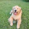 OhCabra's profile picture