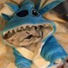 xdo's profile picture