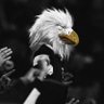 rxlzinn's profile picture