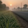 Фото профиля Kuldeep Singh