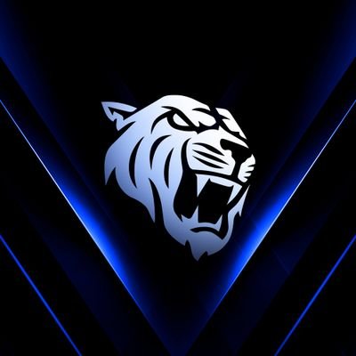 DPGaming's profile picture