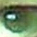 remain_indoors's profile picture