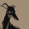 Фото профиля Tsuyoshi