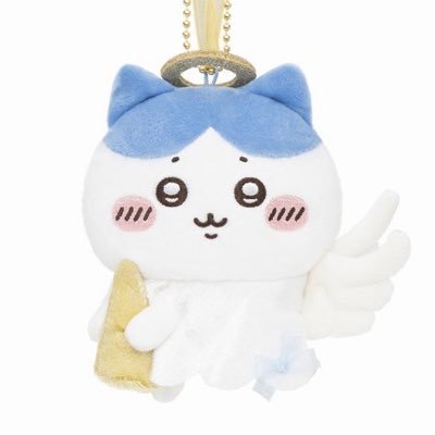 박쪼꼼's profile picture