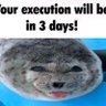 Фото профиля Greedy ass seal (rp account)