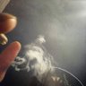 xBeatIt's profile picture