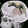 Nick's profile picture