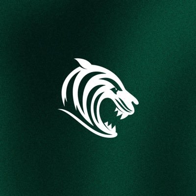 Leicester Tigers's profile picture