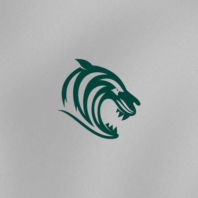 Leicester Tigers Women's's profile picture