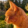 Arif nur profil fotoğrafı