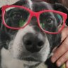 Profilbild von GoingIndependent