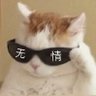 Profilbild von JCat