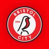 Profilbild von Bristol City FC