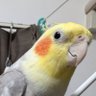 Фото профиля いて座A*