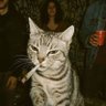 manfur's profile picture