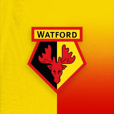 WatfordFC's profile picture