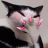 May profil fotoğrafı