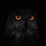 jhay himself's profile picture