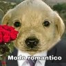 ELMU profil fotoğrafı