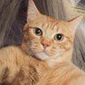 Profilbild von Cibele- Fã de GL’s 🇧🇷