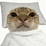 天狼 profil fotoğrafı