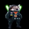 Jyn Erso Fellarina🌻 🇸🇯 🇺🇦's profile picture