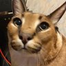 den's profile picture