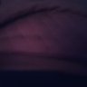 Golden Key's profile picture
