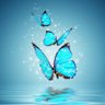 AleAle🦋's profile picture