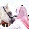 Profilbild von ريان الحسين