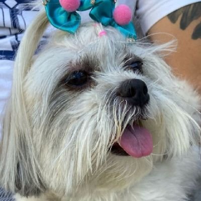Tia Fátima🚩🩰📺's profile picture